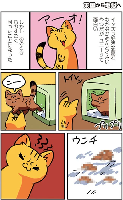 【画像を見る】猫パン日記