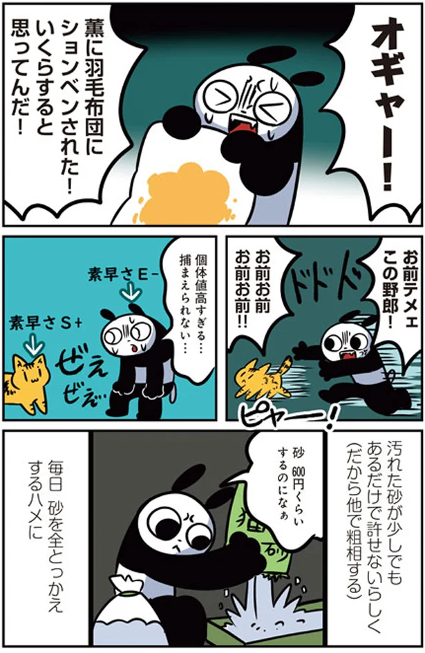 猫砂は毎日全とっかえ