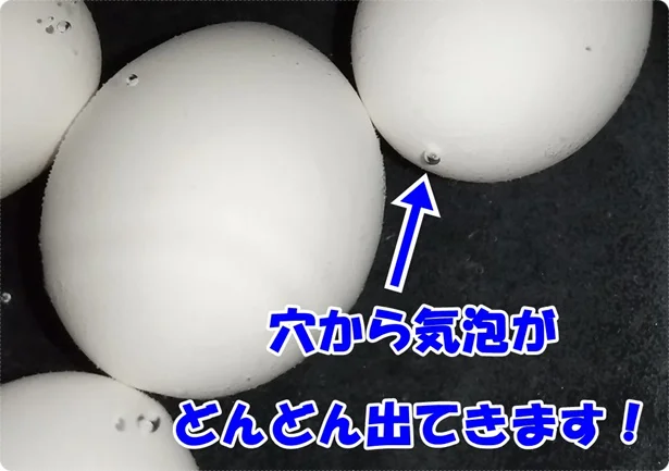 「たまごのプッチン穴あけ器」であけた穴から気泡がぶくぶく!
