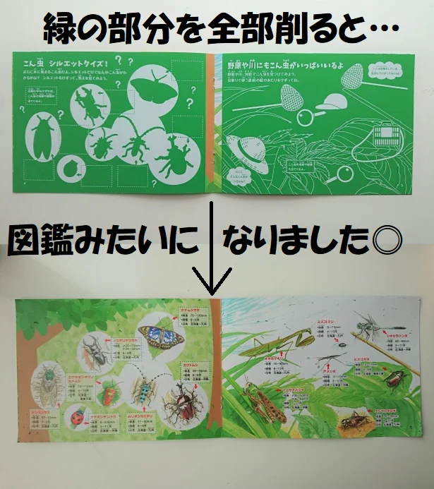 全部削ると図鑑のようになります