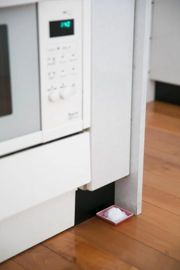 （1）「アノ虫」の虫よけとして使う：シンクや冷蔵庫の隅に置いても、これならおしゃれ。
