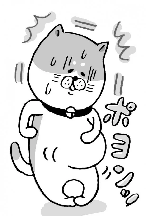 日々の いい姿勢 も積もればやせる 脱 猫背 のススメ 画像3 5 レタスクラブ