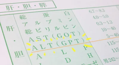 まずは健診の「ALT（GPT）」の数値をチェック。20IU/ℓ以下は健康デブ。20IU/ℓ以上なら不健康デブかも…