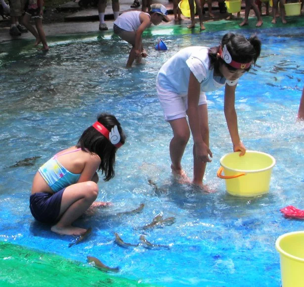 夏休みは涼しい軽井沢で、思いっきり自然体験！