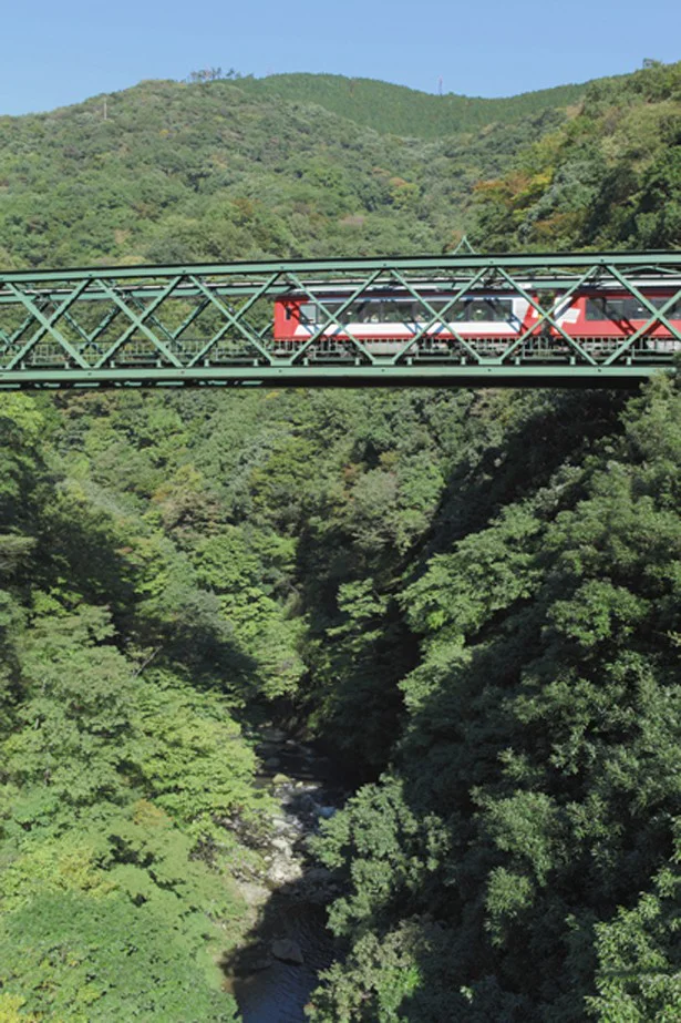 箱根登山鉄道を眺めながら専用の吊橋を渡ればそこに広がるのは別世界。