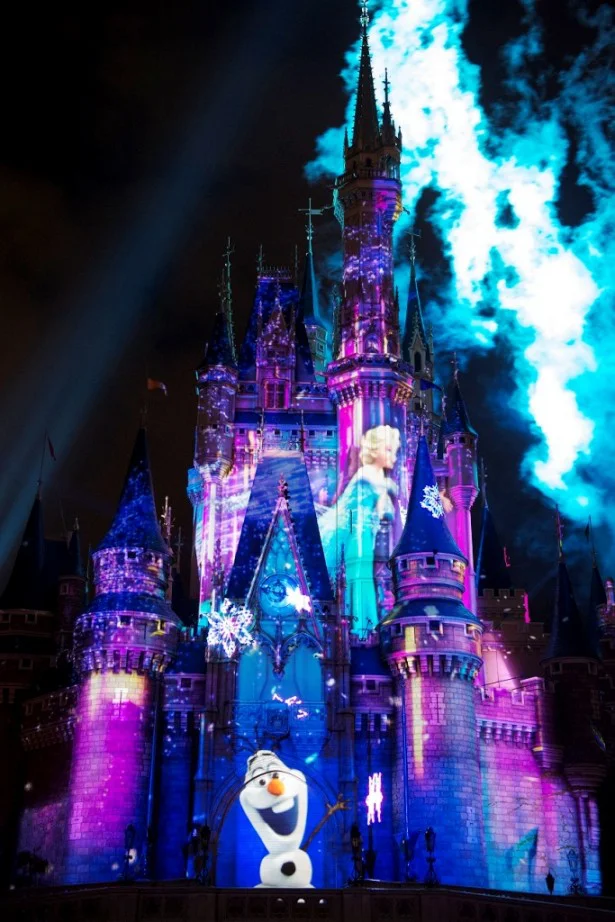 『アナと雪の女王』で盛り上がる、冬の東京ディズニーランドへGO！