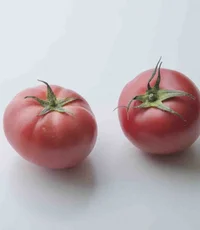 リコピンの吸収が高まる！トマトの食べ方