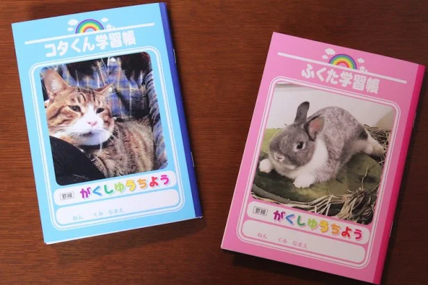 かわいいペットが表紙に！オリジナルの学習帳を作ろう