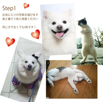 かわいいペットが表紙に オリジナルの学習帳を作ろう 画像1 3 レタスクラブ