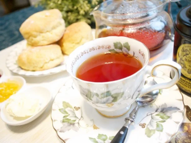 プリン派は見逃さないで！カレルチャペックのプリンが復活