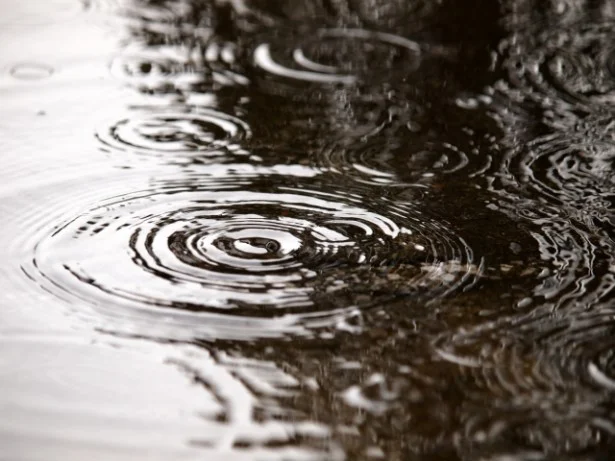 雨の日もおしゃれに！