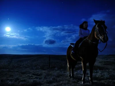 馬に乗って満天の星空を眺めよう