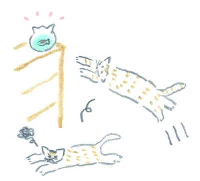 猫も犬も ペットのメタボ チェック4項目 画像4 4 レタスクラブ