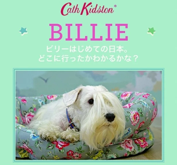 レアな看板犬が来日、セルフィもOK！