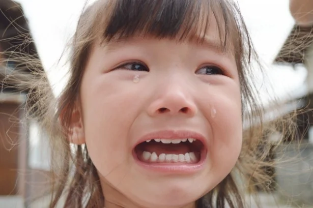 イヤイヤ期の子どもの気持ちがスイスイ理解出来る？