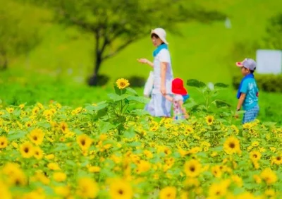 汗をかいても快適なブラなら、子どもと夏をめいっぱい楽しめる！