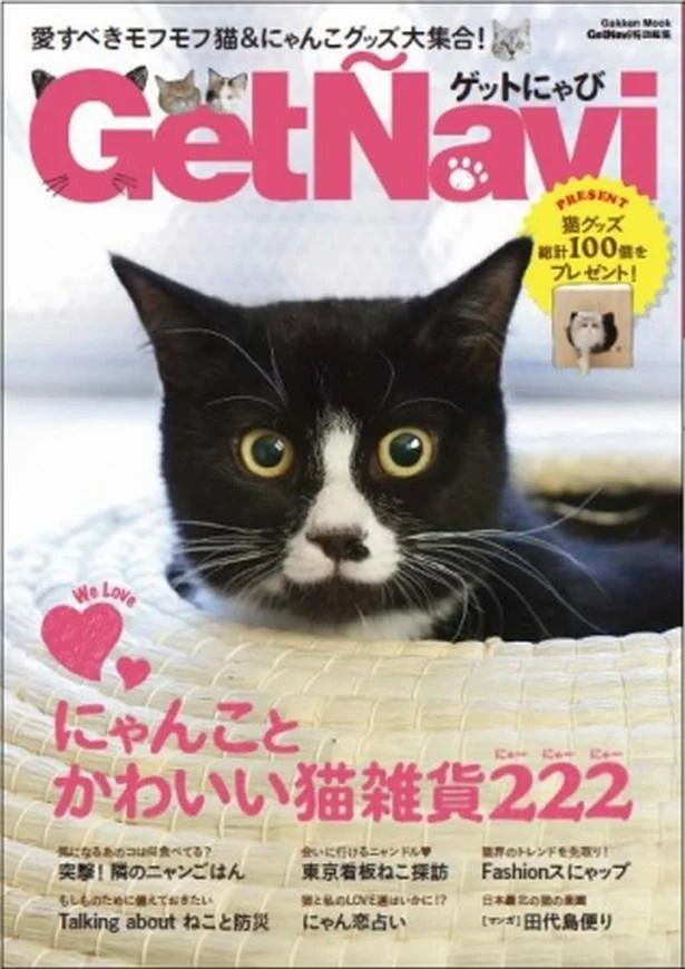 癒される～♡リアル猫いっぱいの 『ゲットにゃび』が売れてる