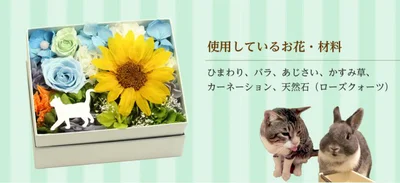 【写真を見る】黄色い大きなひまわりと猫を主役にしたアレンジメントは猫好きなお父さんへのプレゼントにも素敵