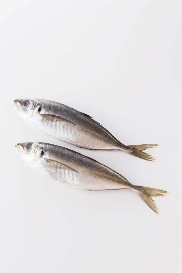 味がよいから「あじ」！はさみなら下処理もラク