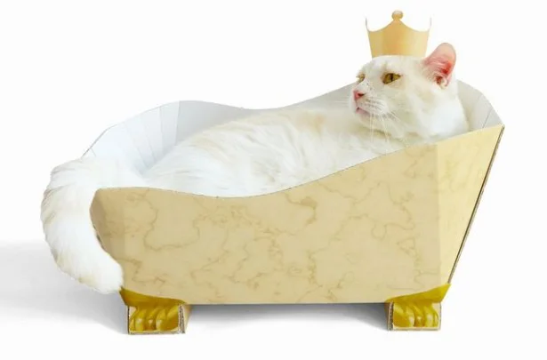 猫足のバスタブにハマる猫を愛でよう