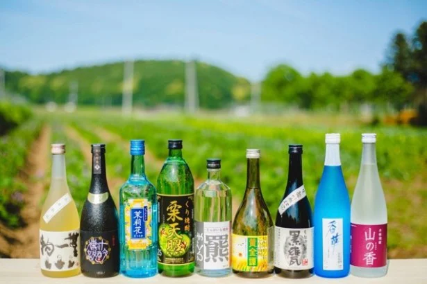 レア焼酎「飲み放題バー」が新宿にオープン