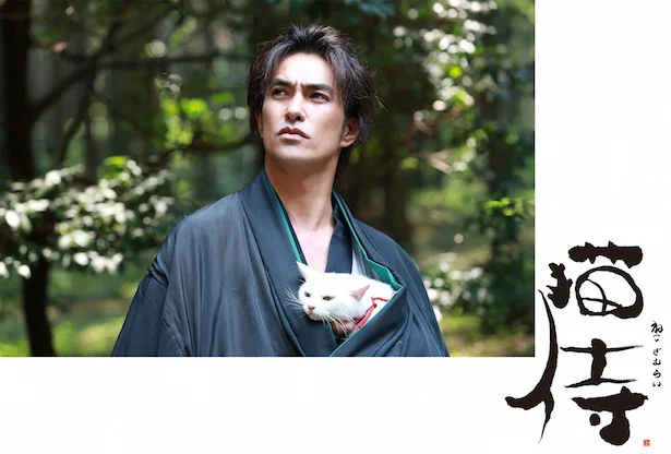 「猫侍」も参加！？猫好きの祭典が開催
