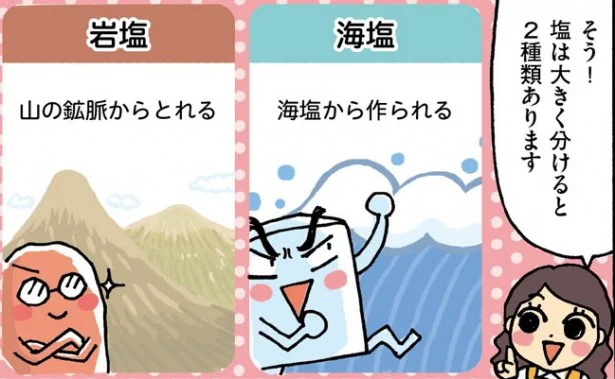  調味料を「擬人化」したコミックエッセイならさらに分かりやすい。『味付け上手になれる　調味料使いこなし手帖』より