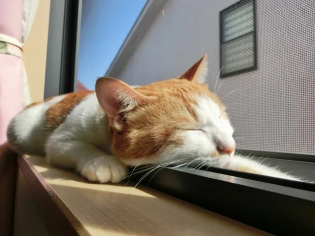 「ブラ」って寝るときも着けたほうがいい？