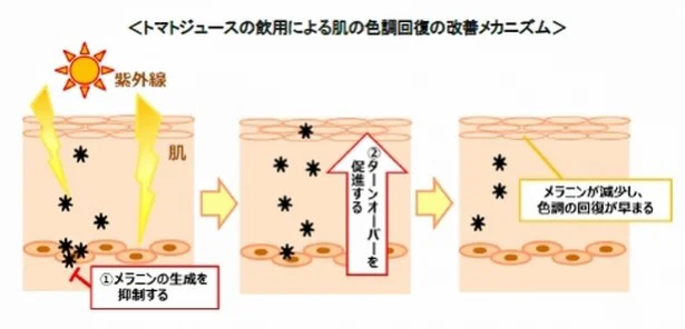 トマトジュースで日焼け肌が回復しやすく 画像5 5 レタスクラブ