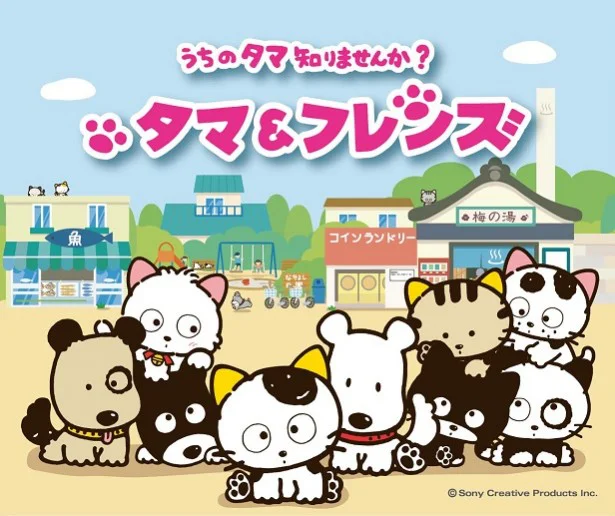 「うちのタマ」、22年ぶりにおかえりなさい