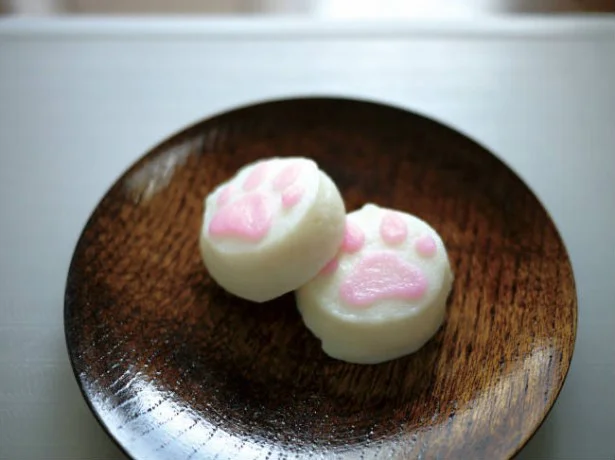 猫好きの夢が実現！食べられる｢ぷにぷに肉球」