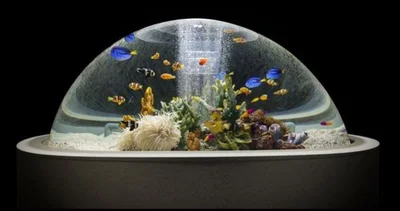 ギョ とするほど可愛い 魚ネイル を水族館で 画像4 6 レタスクラブ