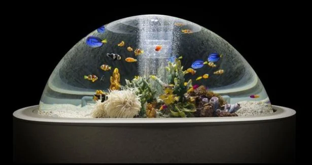 ギョ とするほど可愛い 魚ネイル を水族館で 画像4 6 レタスクラブ