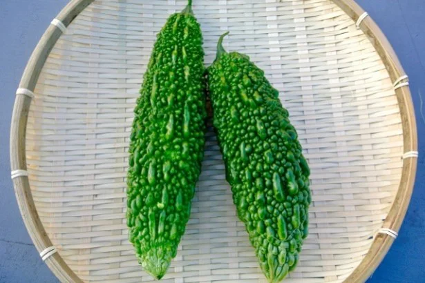 びっくり土産にぴったり!?「沖縄ゴーヤ」のボディジェル