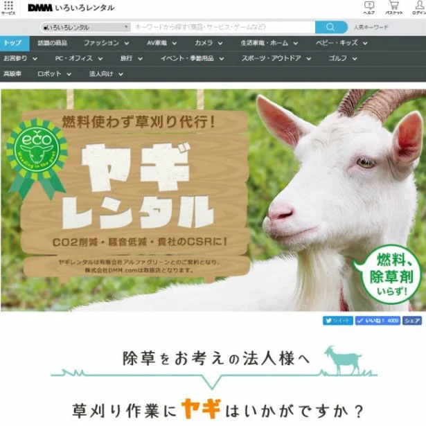 これからの賢い選択。ヤギもドレスも借りてみる？