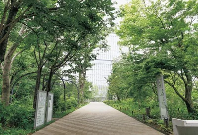 都心なのに蛍などの生物が住みやすい環境を整備。「東京ガーデンテラス紀尾井町」光の森