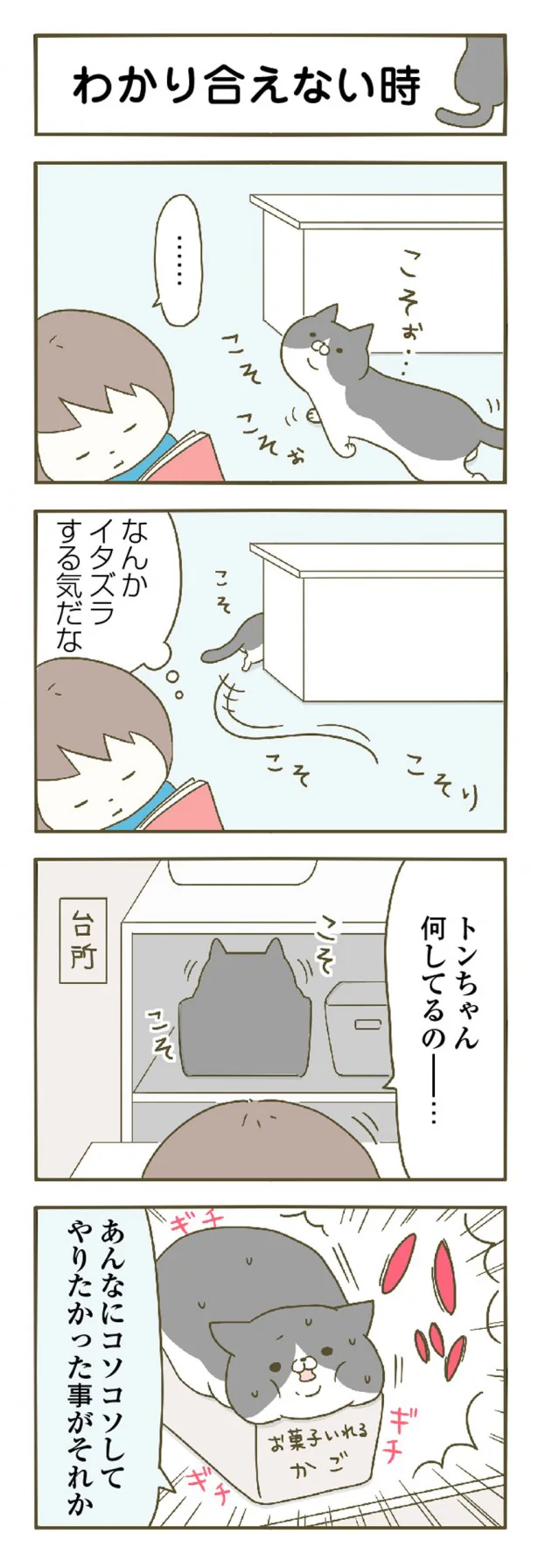 コミックエッセイ うちの猫がまた変なことしてる 第3話 わかり合えない時 レタスクラブ コミックエッセイ うちの猫がまた変なことしてる 第3話 わかり合えない時 レタスクラブ
