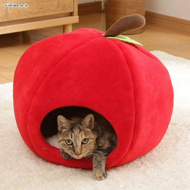 りんごの中から愛猫が？新作ペットベッドがキュート！