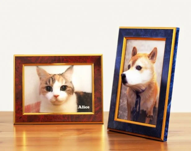 うちの猫がここにいるみたい！「飛び出すペット写真」