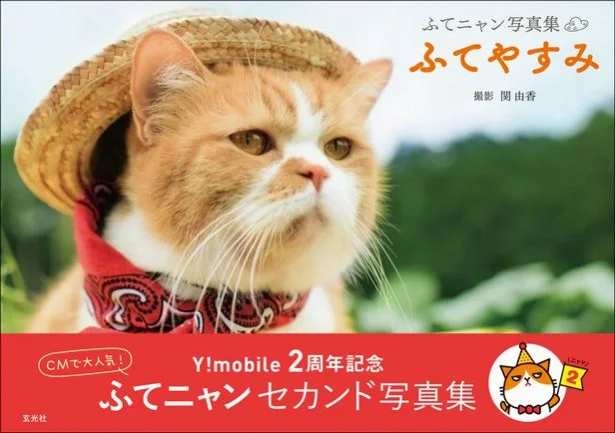 おやじカワイイCMネコ「ふてにゃん」の休日に密着