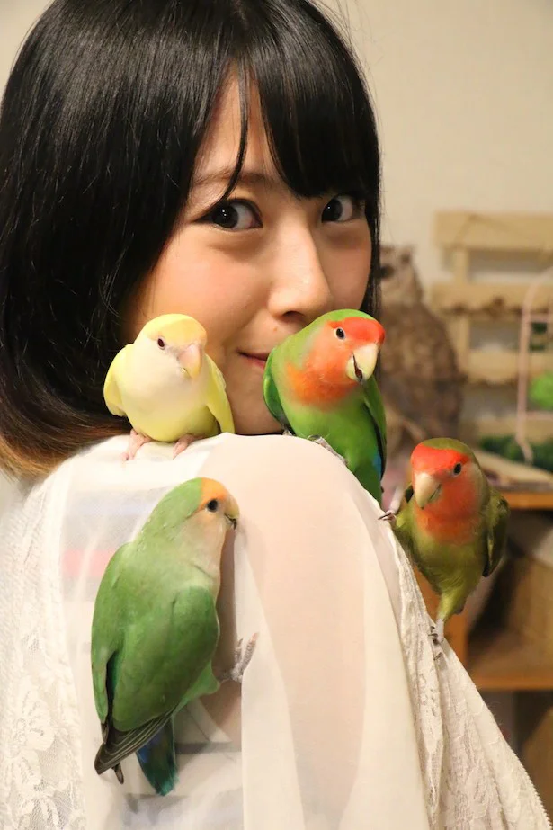 インコアイスも登場！小鳥フェスタが今年も開催