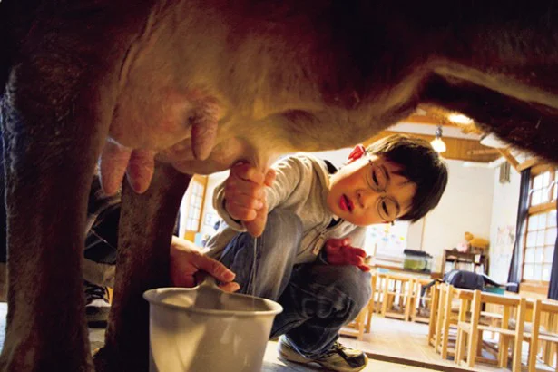 牛の乳搾りや餌やり体験ができる「伊賀の里モクモク手づくりファーム」
