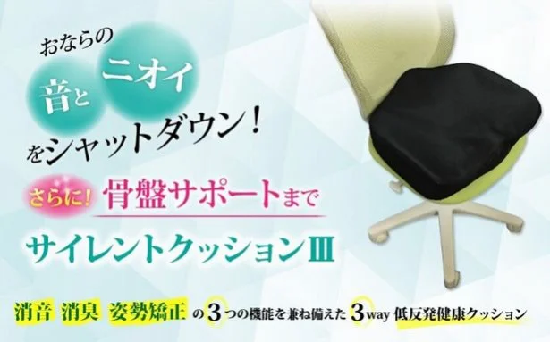 見た目は一般的な姿勢矯正クッションと変わらないので、おなら対策とは気づかれにくい