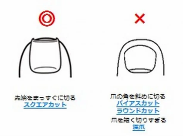 爪の健康には、先端をまっすぐ切る「スクエアカット」（左）を。爪の角を切り落とす「ラウンドカット」「バイアスカット」は巻き爪リスクとなる。深爪もNGだ