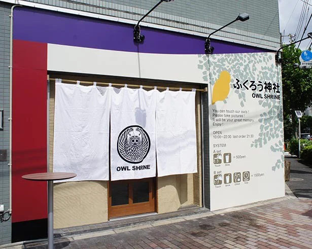 【写真を見る】ふくろう神社の外観 500円(ふれあい・写真・お祈り・ドリンク)