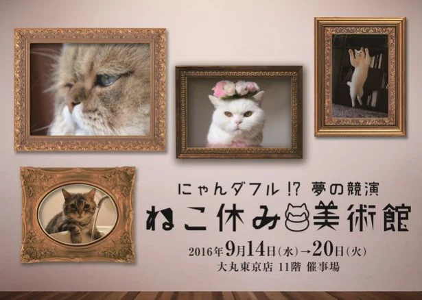 大人気ネコがアートになった ねこ休み美術館 画像9 9 レタスクラブ