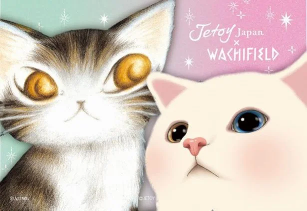 毛色の違う2匹の人気猫が集まったら……やっぱりかわいい! 左が「ダヤン」、右が「choo choo(チューチュー)」