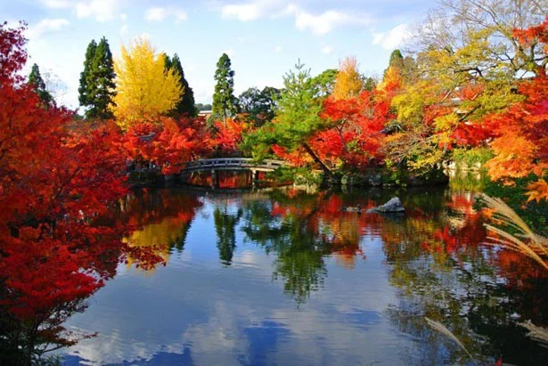 ランキング1位・京都「禅林寺　永観堂」のみごとな紅葉