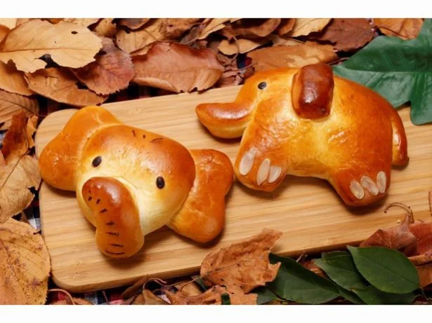パン店で「ゾウのはな子」にまた会える！吉祥寺の新名物、誕生