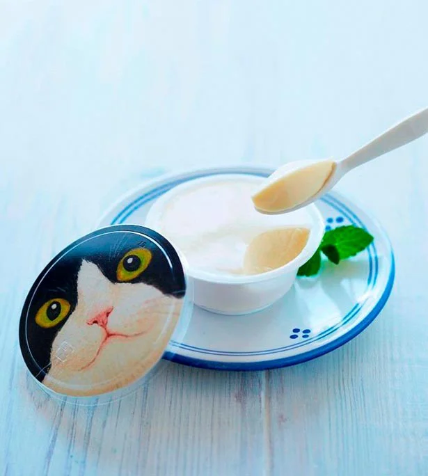 「フェリシモ猫部」が日本最大規模のフラッグシップショップを西宮にオープン